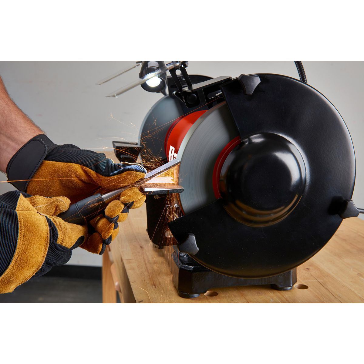 8 in. Variable-Speed Bench Grinder with LED Work Light M406