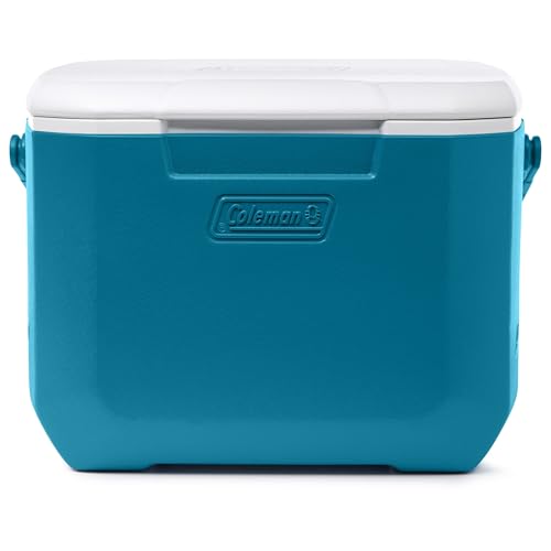 16qt Insulated Portable Cooler with Carry Handle R672