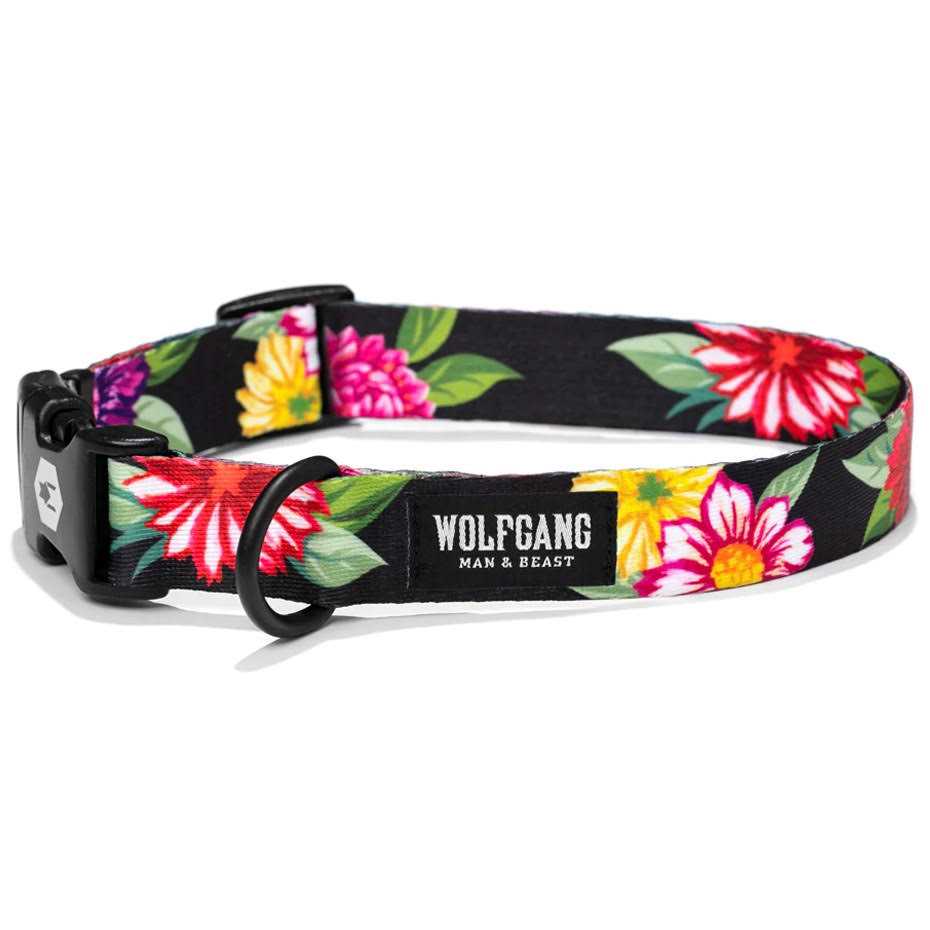Dog Collar R328981