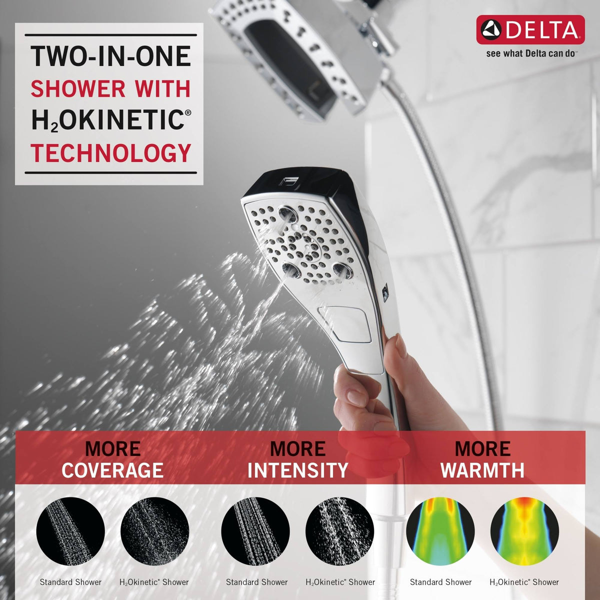 Chrome 2-in-1 Shower Head E689287