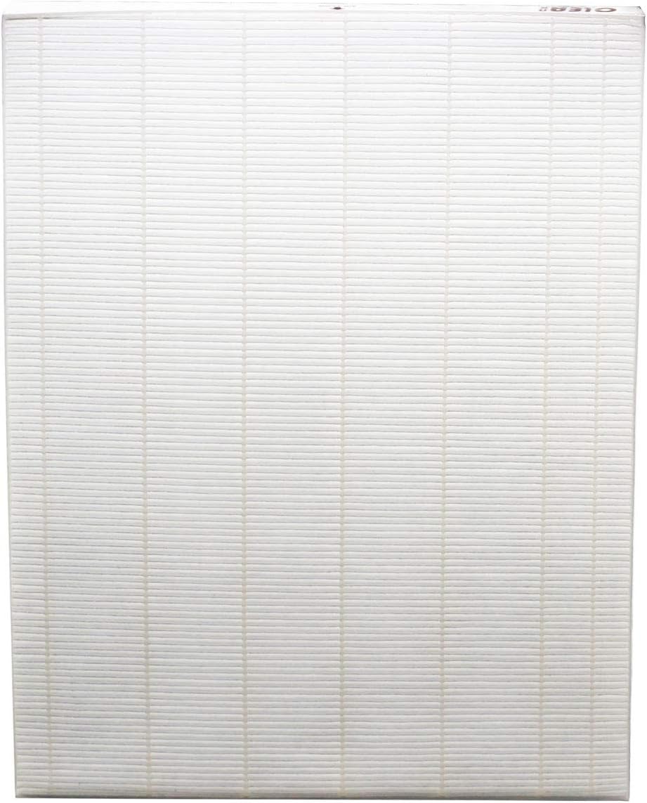 2 Pack HEPA Filters and 2 Pack Activated Carbon Filter Combo Pack A105591