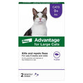 Topical Flea Prevention for Large Cats U607654