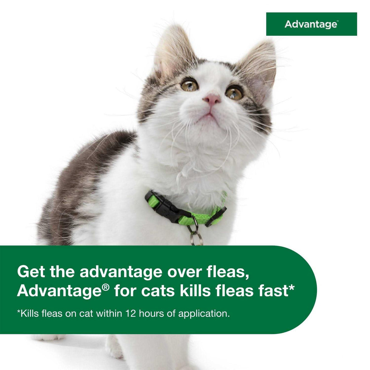Topical Flea Prevention for Large Cats U607654