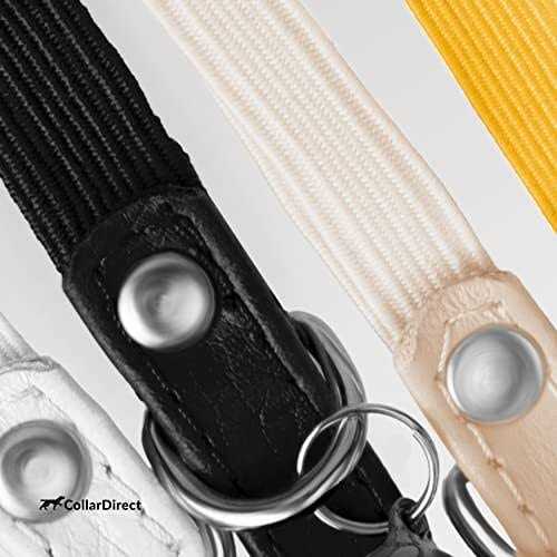 Leather Cat Collar with Bell S8798