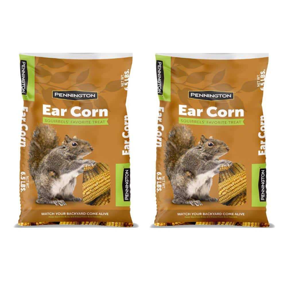 Squirrels Ear Corn Cobs Pet Supplies Q7941