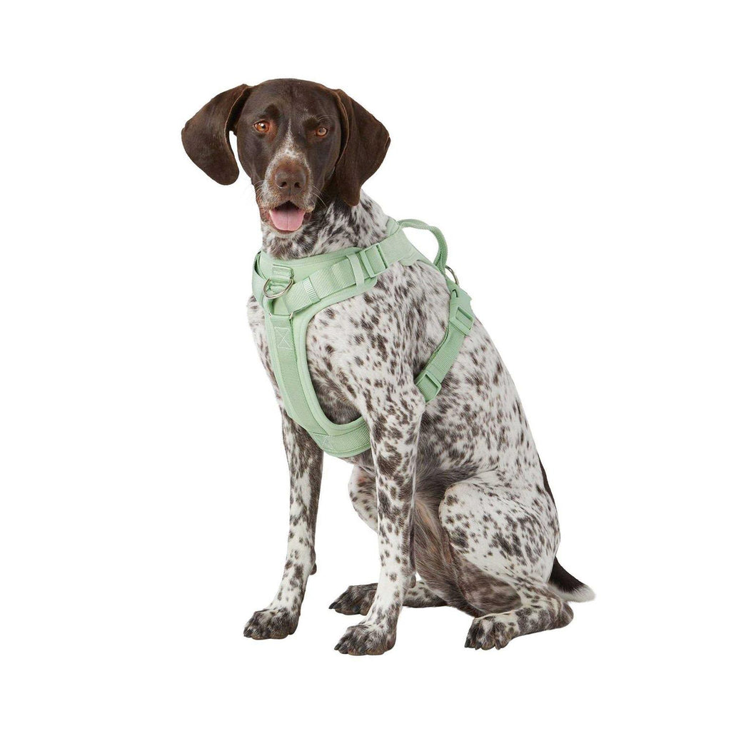 Adjustable Dog Harness F54053
