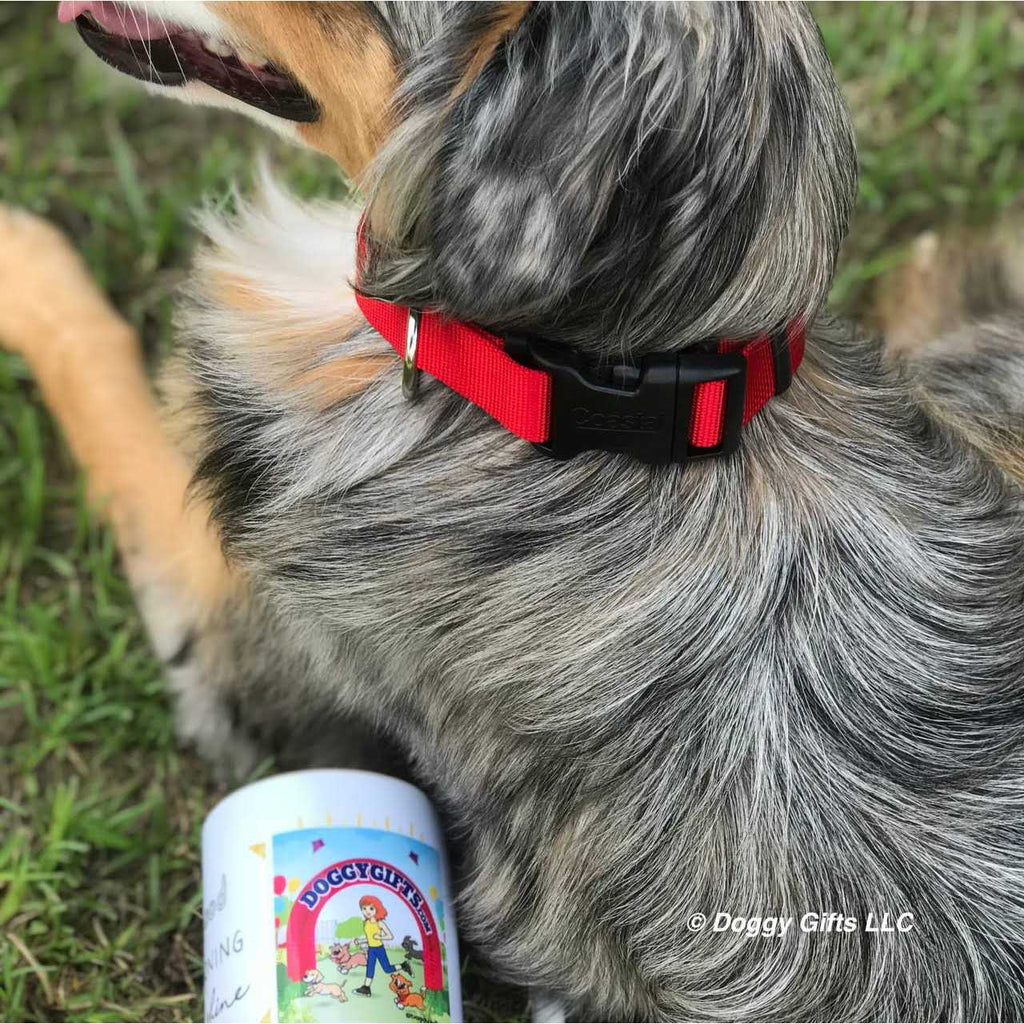 Flea Collar Protector D39683