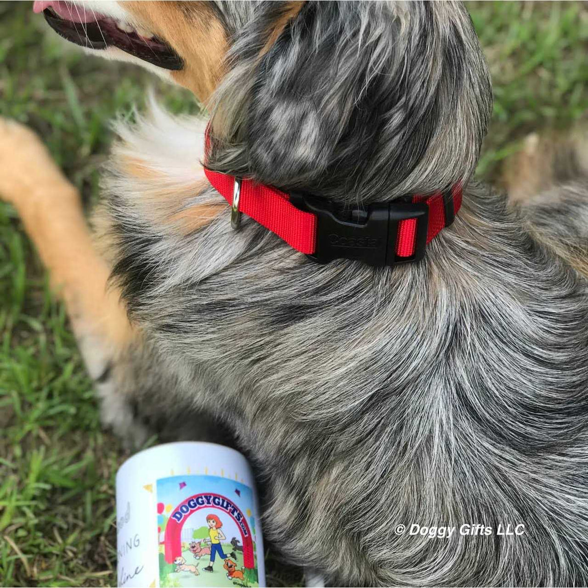 Flea Collar Protector D39683